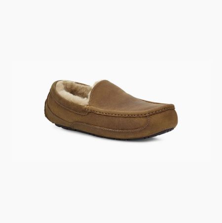 UGG Ascot Leather Brown Slippers for Men (SDFY32058)